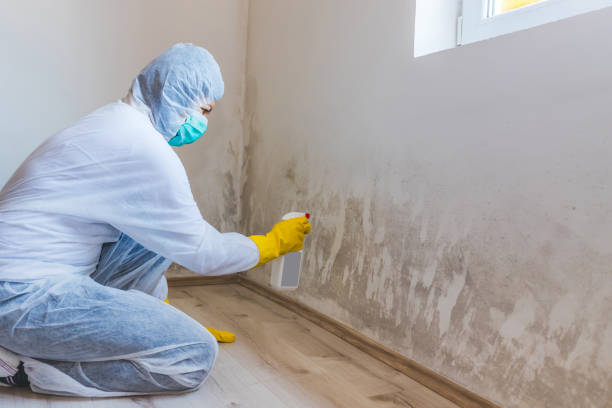Licensed Mold Inspection service in Victoria, TX - WQB Mold Removal
