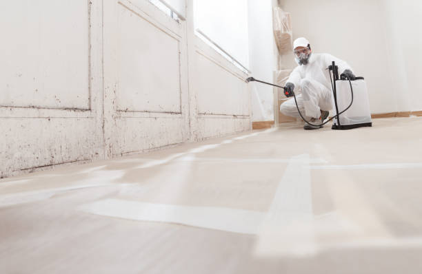 24/7 Emergency Mold Inspection experts in Victoria, TX
